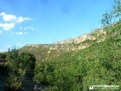 Meandros Río Lozoya-Pontón de la Oliva;actividad vespertina; viaje noviembre viajes baratos agosto